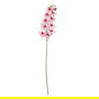 Flor Orquídea Rosa Tejido Decoración 107 cm (Set de 6)