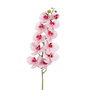Flor Orquídea Rosa Tejido Decoración 107 cm (Set de 6)