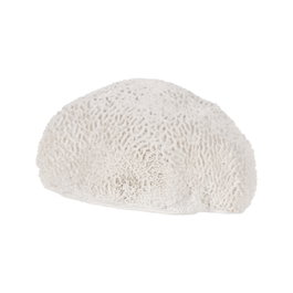 Ixia Figura Esponja Blanco Resina Decoración 21 x 21 x 11 cm