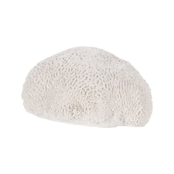 Ixia Figura Esponja Blanco Resina Decoración 21 x 21 x 11 cm Ixia Figura Esponja Blanco Resina Decoración 21 x 21 x 11 cm