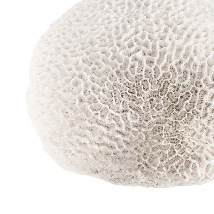 Figura Esponja Blanco Resina Decoración 21 X 21 X 11 cm