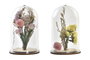 DKD Home Decor Decoración Flor Seca Cristal 6x6x9 Surtido de 2