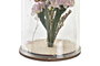 DKD Home Decor Decoración Flor Seca Cristal 6x6x9 Surtido de 2