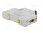 SCHNEIDER ELECTRIC Interruptor magnetotérmico iC60N 16A 1P Curva C