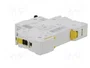 SCHNEIDER ELECTRIC Interruptor magnetotérmico iC60N 16A 1P Curva C