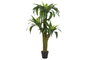DKD Home Decor Helecho Verde 60x60x150 cm