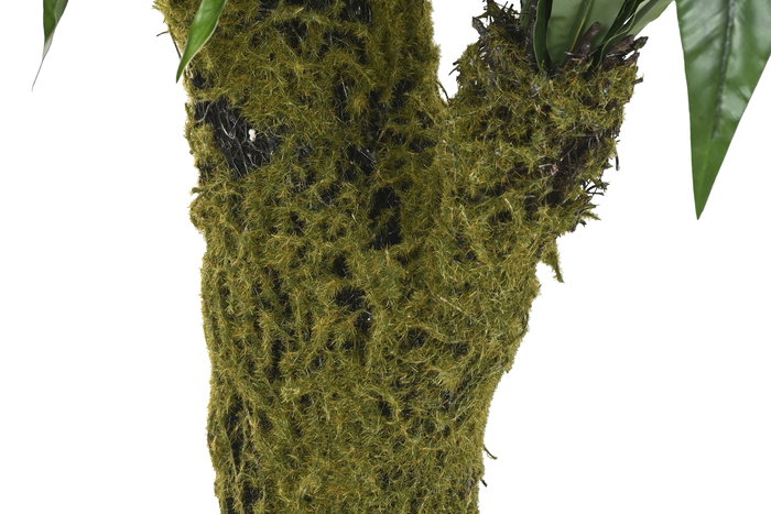 DKD Home Decor Planta Tropical Verde Helecho 60 x 150 x 60 cm (2 Unidades)