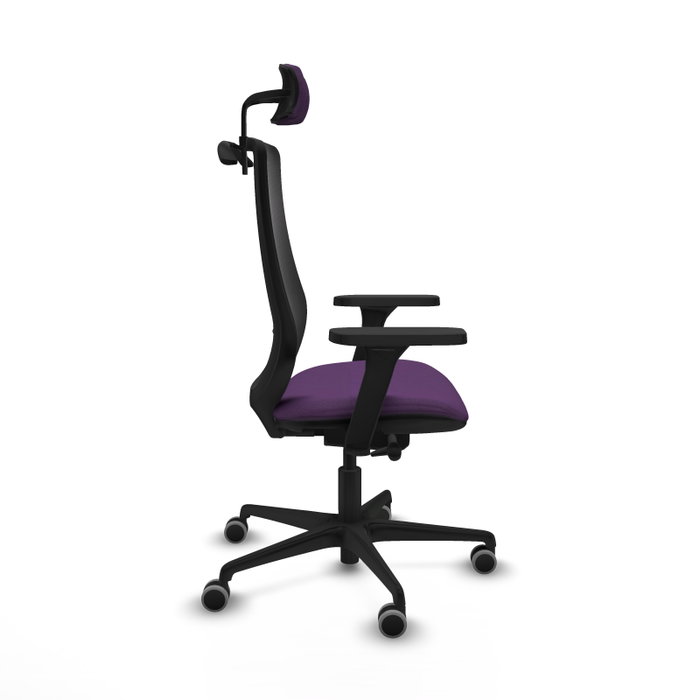 PIQUERAS Y CRESPO Silla de oficina Mardos con mecanismo Sincro/Traslack, Morado y Negro PIQUERAS Y CRESPO Silla de oficina Mardos con mecanismo Sincro/Traslack, Morado y Negro
