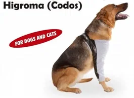 Petmed Protector Bursitis Codal 3