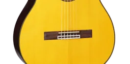 Takamine GC5CE-NAT