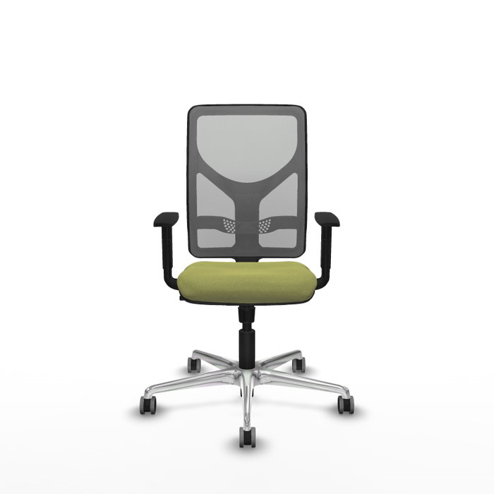 PIQUERAS Y CRESPO Silla de oficina Motilla con mecanismo Sincro, Verde oliva y Gris PIQUERAS Y CRESPO Silla de oficina Motilla con mecanismo Sincro, Verde oliva y Gris