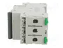 SCHNEIDER ELECTRIC Easy9 Pro Interruptor magnetotérmico 25A 3P 6kA