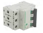 SCHNEIDER ELECTRIC Easy9 Pro Interruptor magnetotérmico 25A 3P 6kA