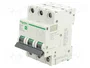 SCHNEIDER ELECTRIC Easy9 Pro Interruptor magnetotérmico 25A 3P 6kA