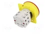 PROMET Interruptor de Leva 25A 2 Posiciones 0-1