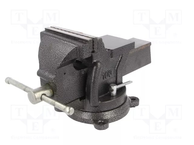 PROLINE Prensa de tornillo de 100mm con yunque