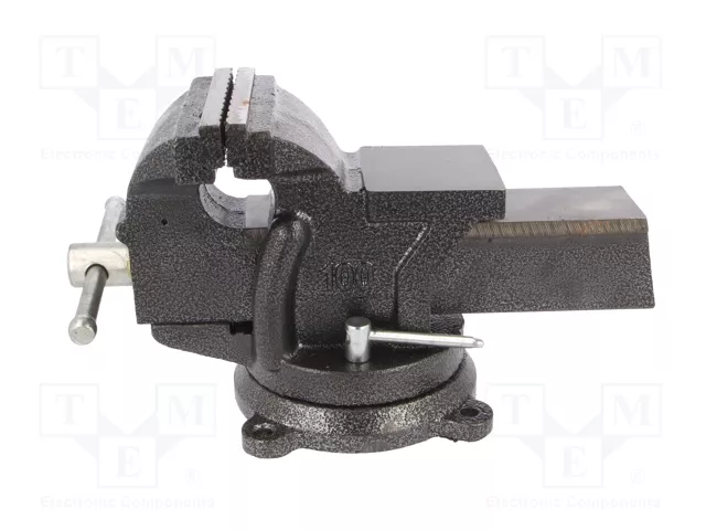 PROLINE Prensa de tornillo de 100mm con yunque