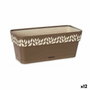 Jardinera Stefanplast Cloe Marrón Plástico 13,3 x 12,3 x 29,3 cm (12 Unidades)
