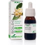 Soria Natural Extracto de Boldo Fórmula XXI 50ml