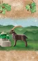 Playmobil Wiltopia 71050 Cabra Montesa