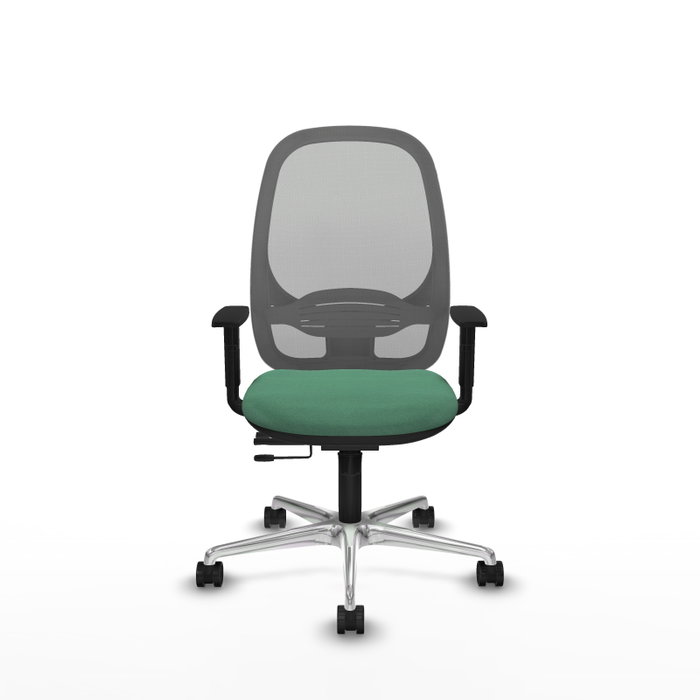 PIQUERAS Y CRESPO Silla de oficina Cilanco con mecanismo Sincro/Traslack Verde esmeralda y Gris PIQUERAS Y CRESPO Silla de oficina Cilanco con mecanismo Sincro/Traslack Verde esmeralda y Gris