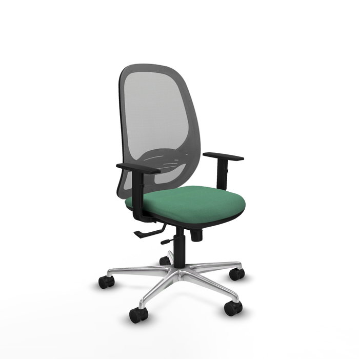 PIQUERAS Y CRESPO Silla de oficina Cilanco con mecanismo Sincro/Traslack Verde esmeralda y Gris PIQUERAS Y CRESPO Silla de oficina Cilanco con mecanismo Sincro/Traslack Verde esmeralda y Gris