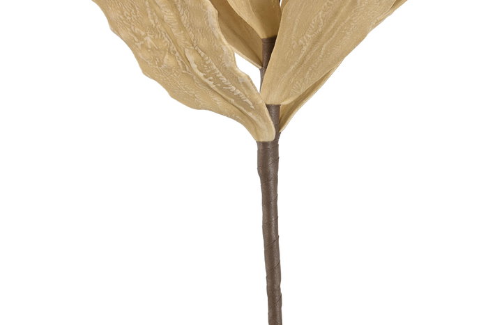 DKD Home Decor Flor Rosa y Beige 10 x 100 x 20 cm (6 Unidades)