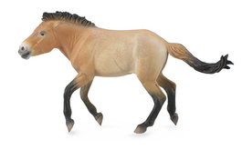 Collecta Semental Przewalski XL 88602 Figura Réplica Caballo Juguete Educativo +3 Años