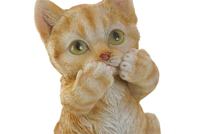 DKD Home Decor Figuras de Resina Gato y Perro Surtidas