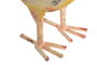 DKD Home Decor Figura de Metal Gallina Surtida