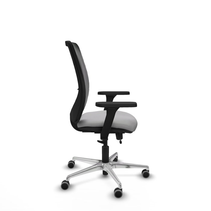 PIQUERAS Y CRESPO Silla de oficina Zulema con mecanismo Sincro/Traslack, Gris claro y Negro PIQUERAS Y CRESPO Silla de oficina Zulema con mecanismo Sincro/Traslack, Gris claro y Negro