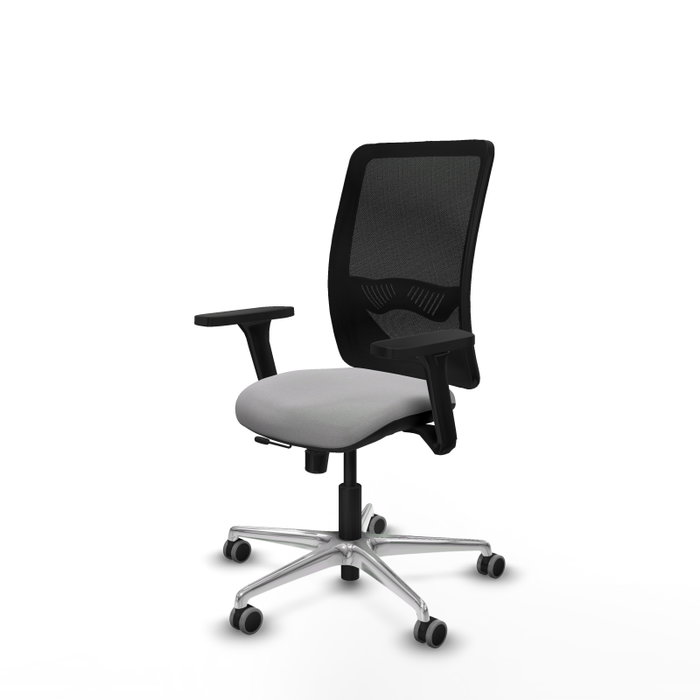 PIQUERAS Y CRESPO Silla de oficina Zulema con mecanismo Sincro/Traslack, Gris claro y Negro PIQUERAS Y CRESPO Silla de oficina Zulema con mecanismo Sincro/Traslack, Gris claro y Negro