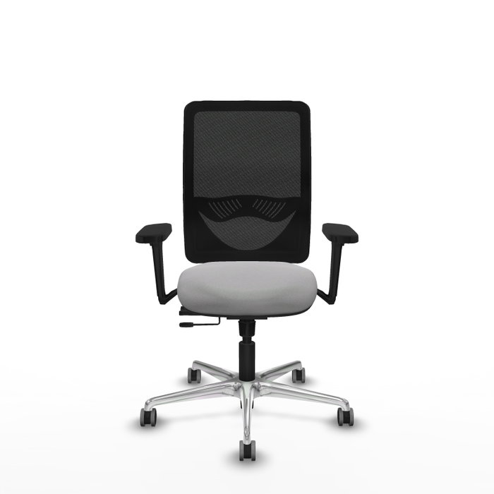 PIQUERAS Y CRESPO Silla de oficina Zulema con mecanismo Sincro/Traslack, Gris claro y Negro PIQUERAS Y CRESPO Silla de oficina Zulema con mecanismo Sincro/Traslack, Gris claro y Negro