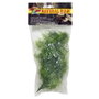 Nayeco Planta Plastico Cashuarina