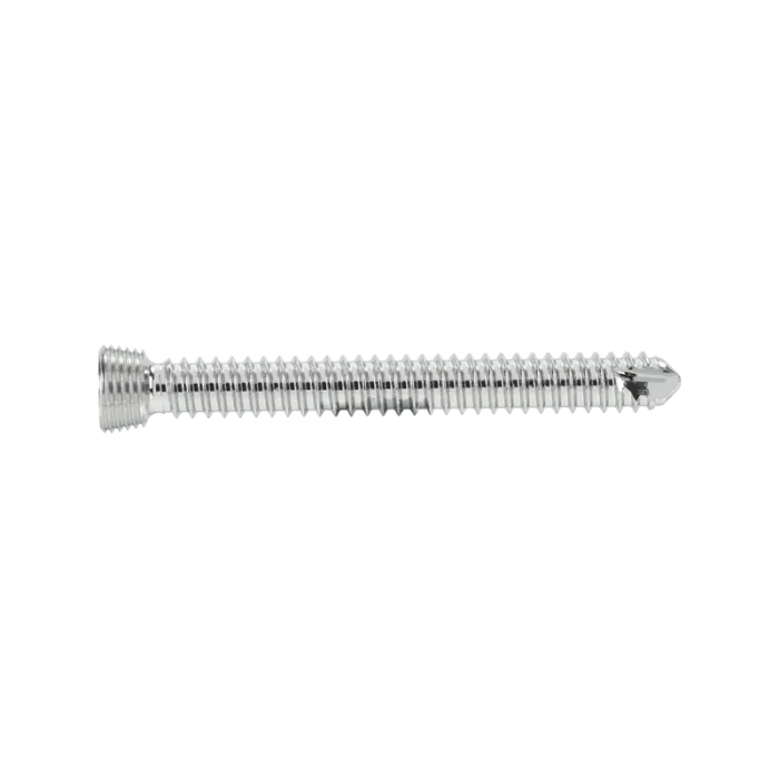 Ls2424Star22 Tornillo de Bloqueo Cabeza Setar 2.4 mm x 22 mm Ls2424Star22 Tornillo de Bloqueo Cabeza Setar 2.4 mm x 22 mm