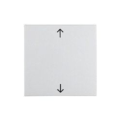 BERKER 16208919 Tapa de interruptor con símbolo, blanco brillante