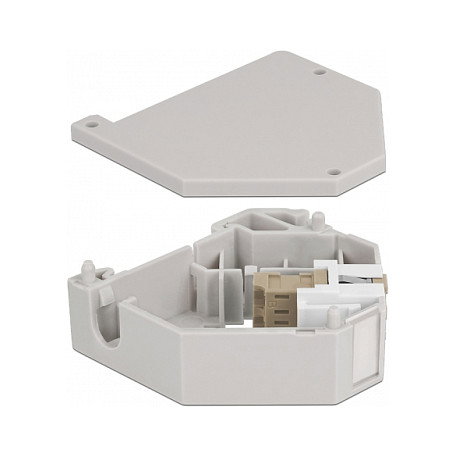 DeLOCK Adaptador de Carril DIN Keystone, LC Duplex Hembra a LC Duplex Hembra, Beige, Material Plástico, -40 a 85 °C, Ref. Hutschienenadapter mit Keystone