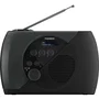 Thomson Radio FM DAB Gris y Negro AAAYF54173
