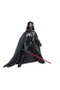 Hasbro Star Wars The Black Series Darth Vader (Duel's End) 15 cm