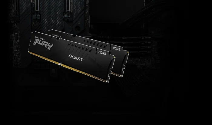 Kingston FURY Beast 32 GB DDR5 6000 MT/s CL30 DIMM Negro