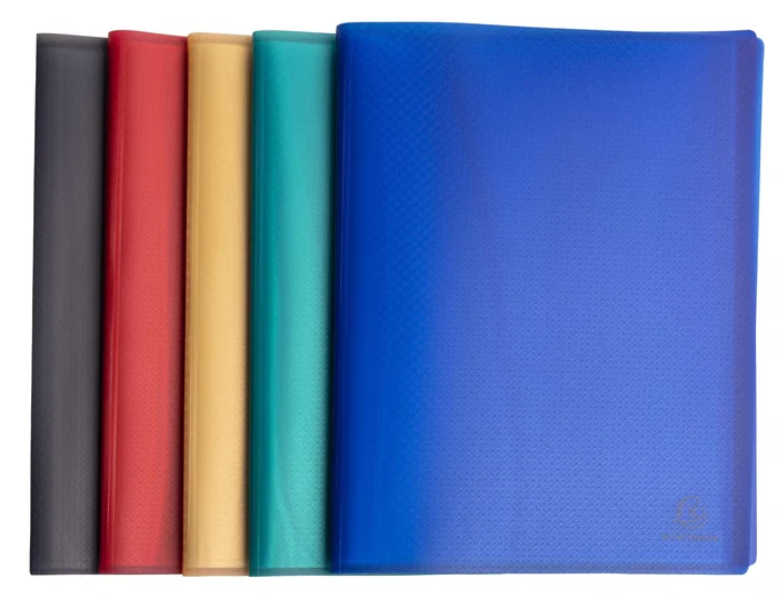 Exacompta Carpeta Escaparate 100 fundas Din A4 colores surtidos