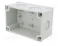 FIBOX MNX Carcasa Universal Gris con Grabado Métrico