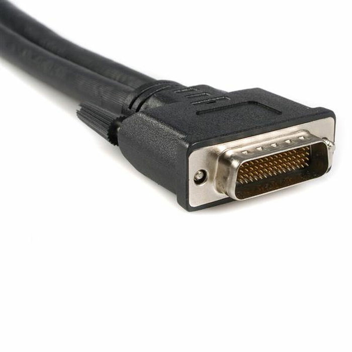 Cable DMS-59 a VGA Startech DMSVGAVGA1 Negro 0,2 m
