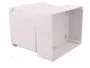 ELEKTRO-PLAST NASIELSK Carcasa Industrial Universal Gris