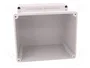 ELEKTRO-PLAST NASIELSK Carcasa Industrial Universal Gris