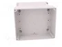 ELEKTRO-PLAST NASIELSK Carcasa Industrial Universal Gris
