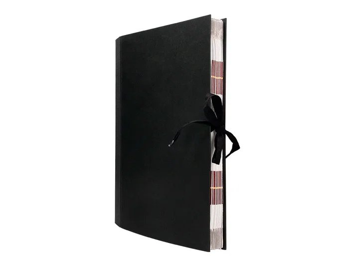 Liderpapel Carpeta Fuelle Folio Cartón Forrado Negra 20 Departamentos 25x350x305 mm