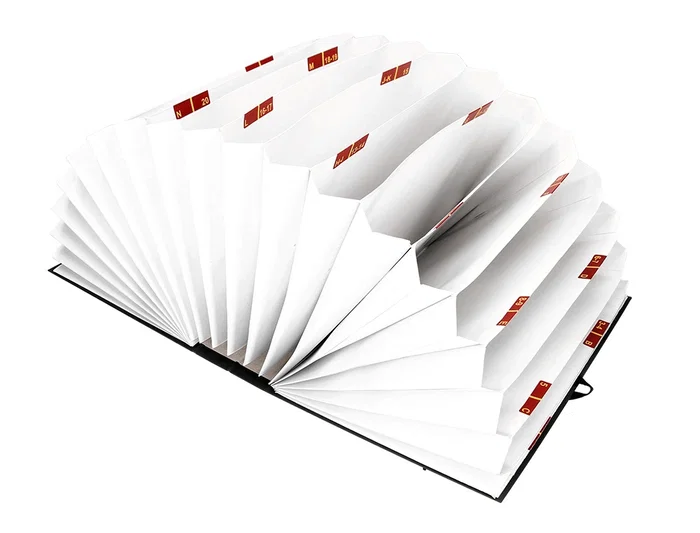 Liderpapel Carpeta Fuelle Folio Cartón Forrado Negra 20 Departamentos 25x350x305 mm