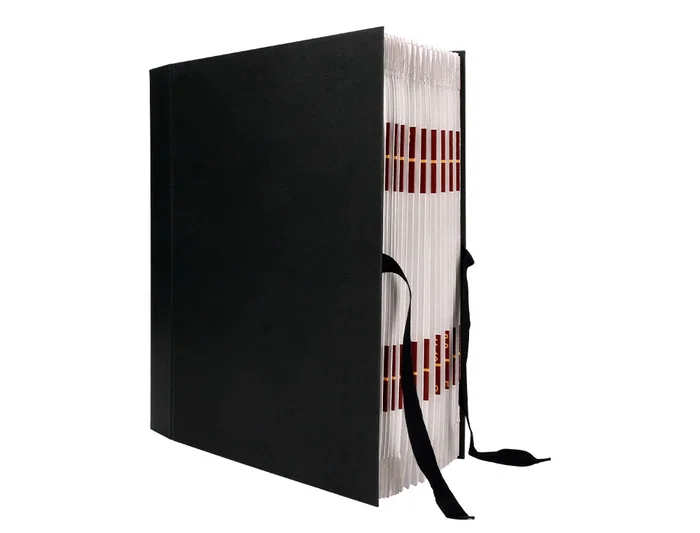 Liderpapel Carpeta Fuelle Folio Cartón Forrado Negra 20 Departamentos 25x350x305 mm