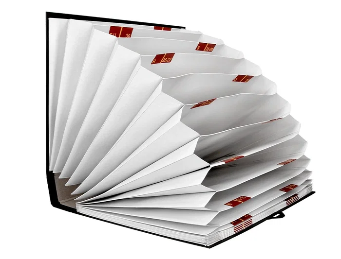 Liderpapel Carpeta Fuelle Folio Cartón Forrado Negra 20 Departamentos 25x350x305 mm